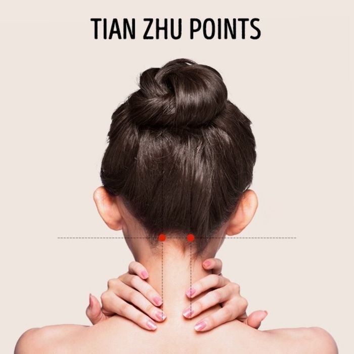 Tian Zhu