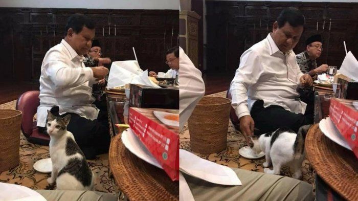 Momen Prabowo memberi makan Bobby yang sempat viral beberapa waktu lalu