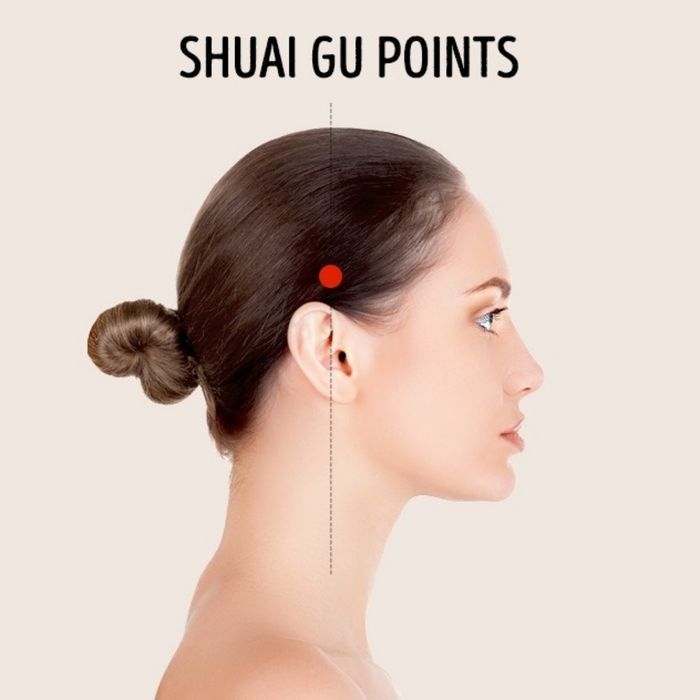 Shuai Gu Points