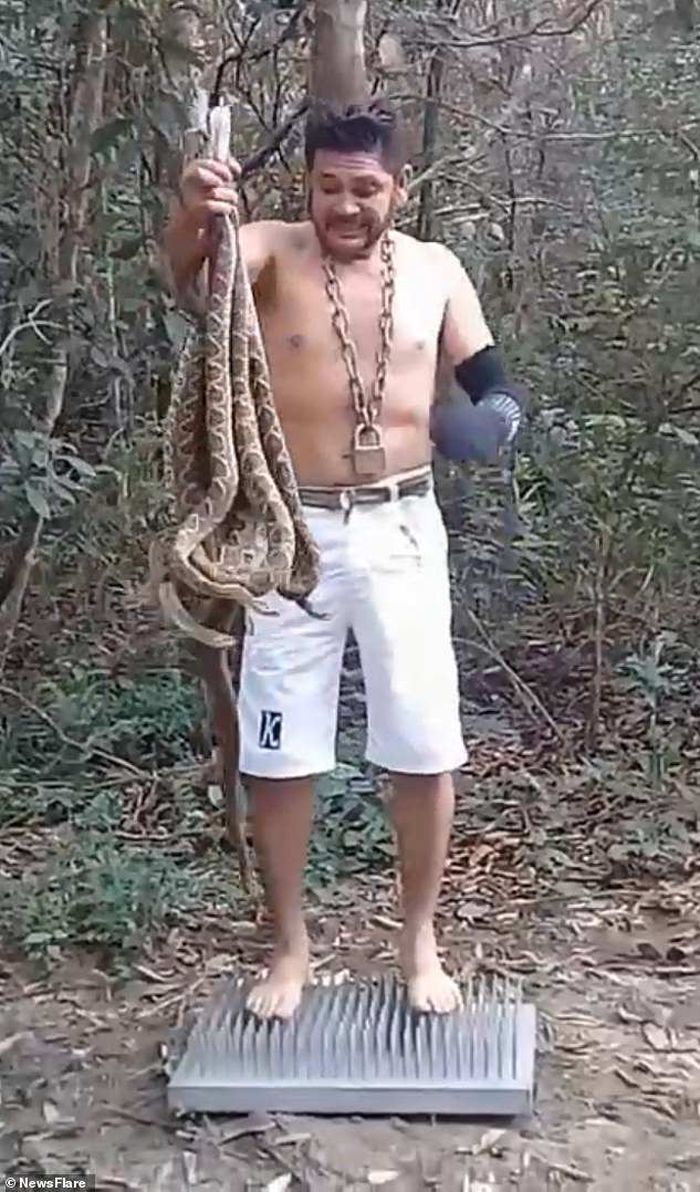 Ternyata tujuan Duarte adalah untuk menyuarakan penebangan hutan yang terjadi di Hutan Amazon.