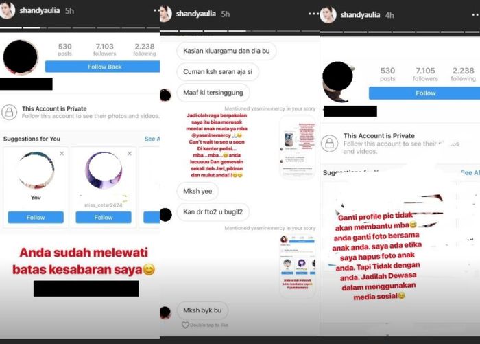 Shandy Aulia perkarakan netizen yang membuly dirinya