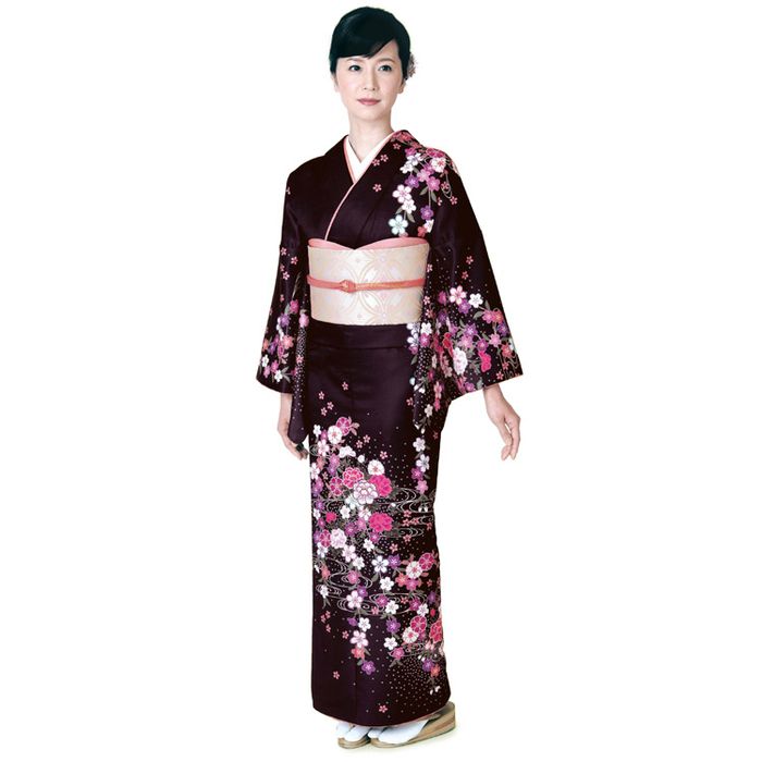 Kimono Houmongi / Homongi