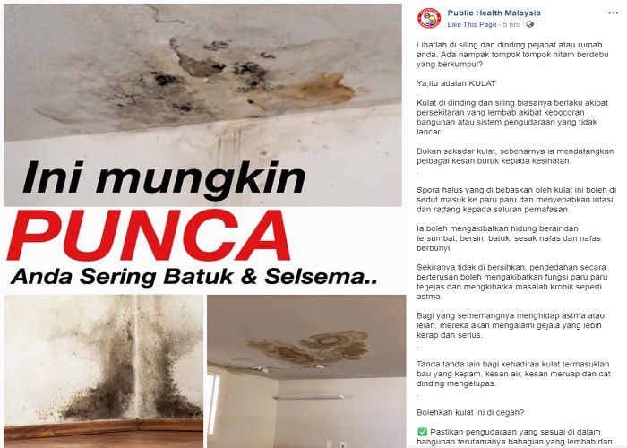 Atap rumah dan dinding bernoda adalah jamur berbahaya yang bisa terhirup oleh manusia