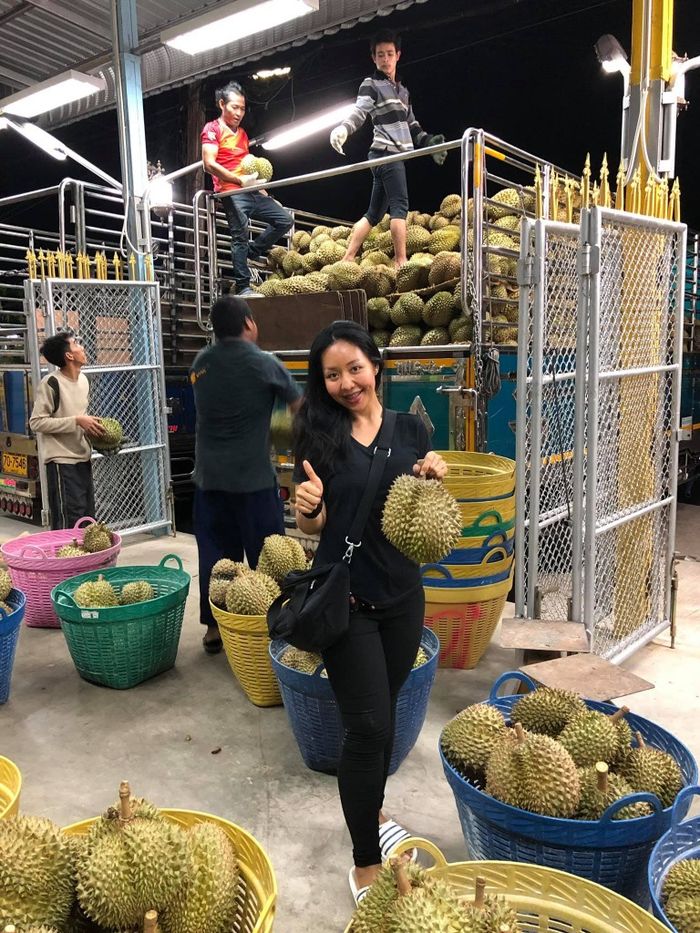 Pencarian jodoh, juragan durian akan beri Rp 4,4 miliar untuk calon menantu.
