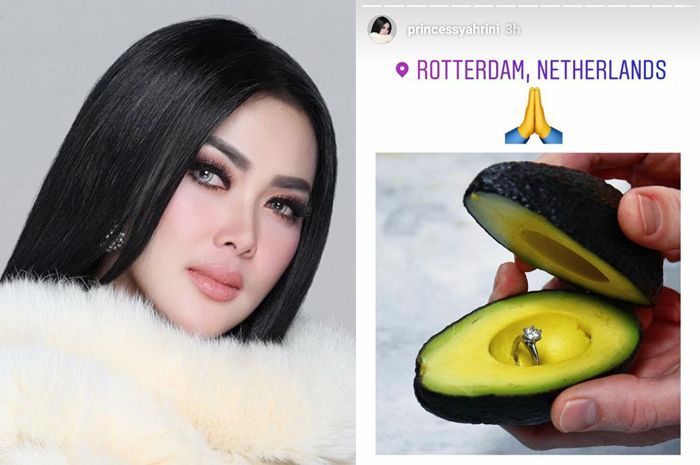 Syahrini dilamar pakai avokad?