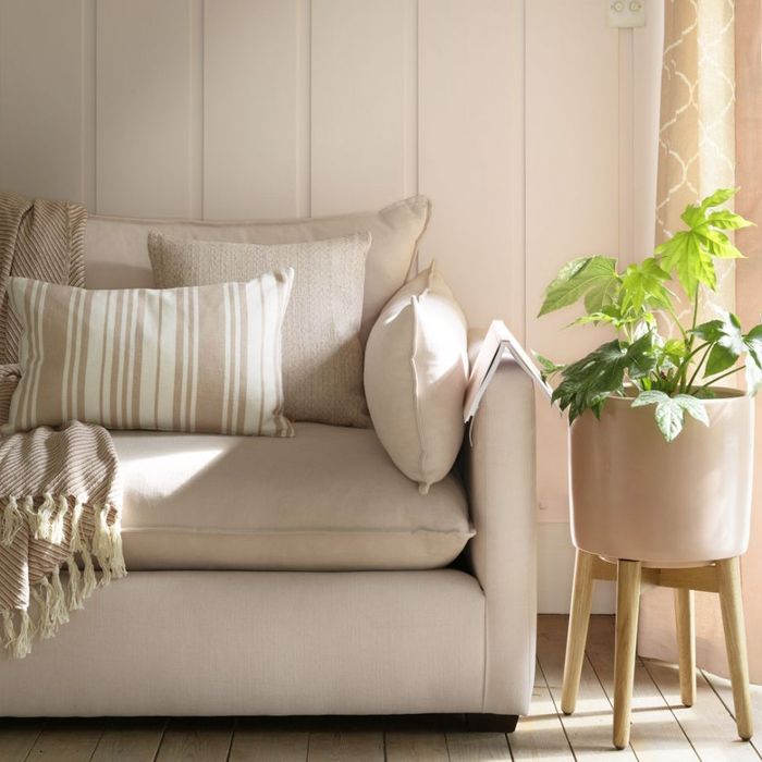Masih Ada yang Bertamu di Tengah Pandemi, Minimalisir Virus dengan Membersihkan Sofa di Rumah, Ini Triknya Sesuai Bahan!