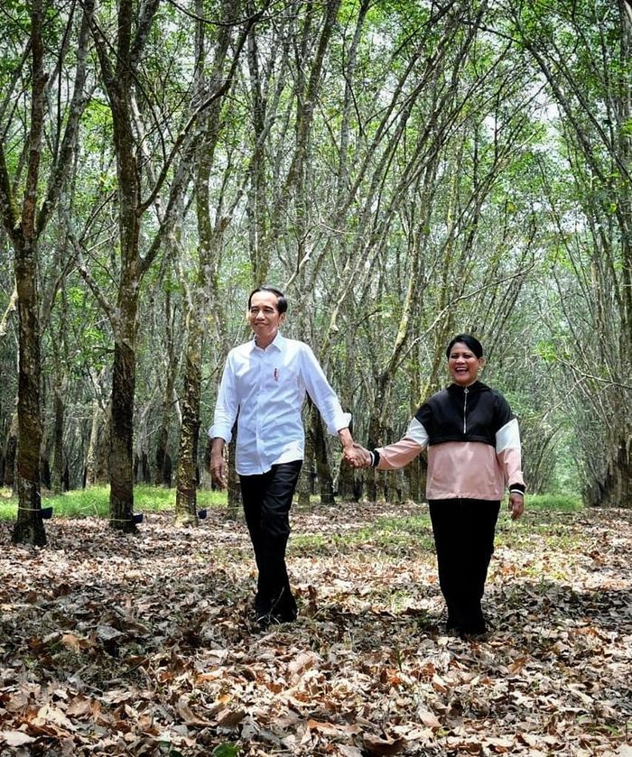 Jokowi gandeng Mesra Iriana di kebun karet Banyuasin, Sumatera Selatan