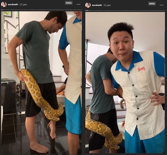 Aneh Banget! Lagi Hamil Besar Aura Kasih Manggang Ular, ‘yang Pasti Enggak Makan Teman’
