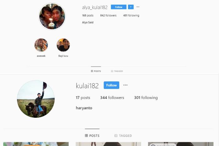 Akun Instagram Orang Tua Bayi dengan nama gabungan Luna Maya, Reino Barack, dan Syahrini.