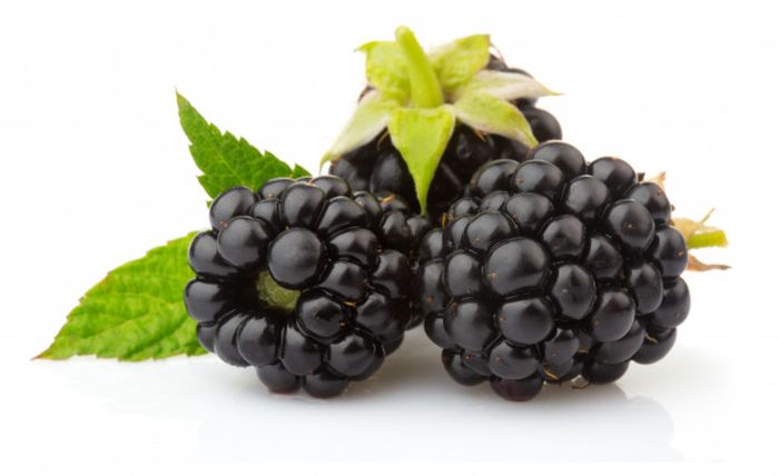 Buah blackberry