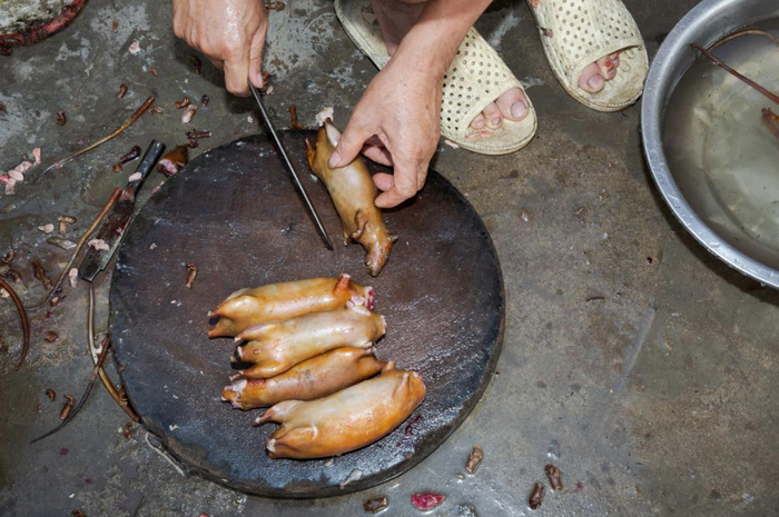 Daging tikus yang telah dimasak