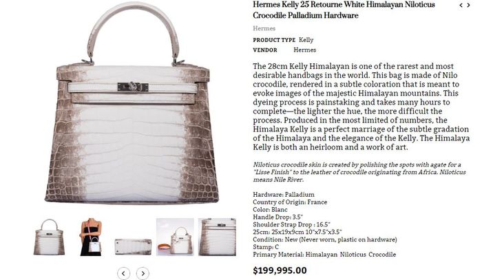 Harga tas hermes mewah yang dipakai Syahrini saat liburan di Swiss bersama Reino Barack