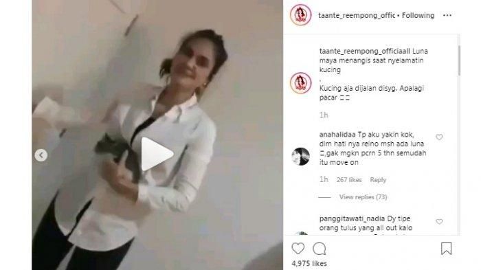luna maya menangis saat temukan kucing di tepi jalan