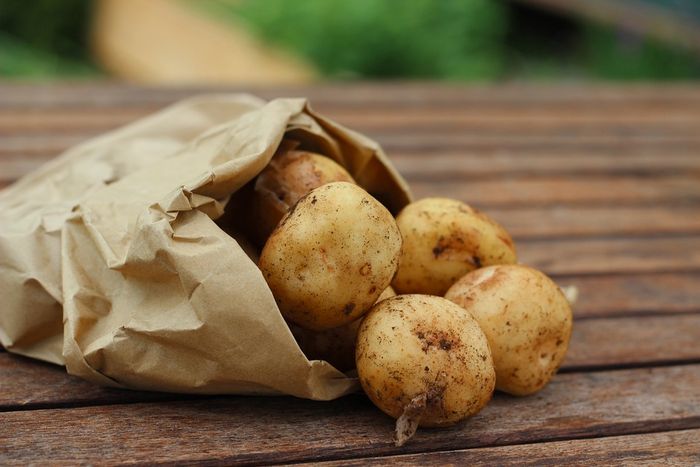 7 Makanan Ini Tidak Perlu Disimpan di Dalam Kulkas, Apa Saja, ya? Bobo