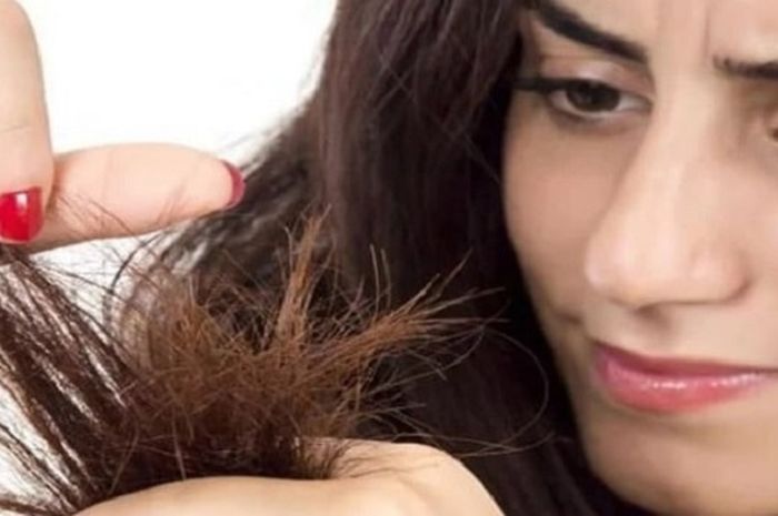 Rambut becabang bisa disebabkan karena jarang potong rambut