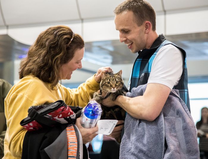 Wah, Bandara Ini Punya Therapy Animals untuk Menenangkan Penumpang Bobo