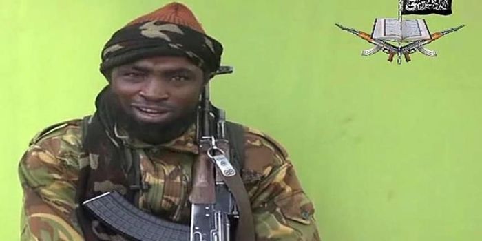 Pemimpin Boko Haram, Abubakar Shekau