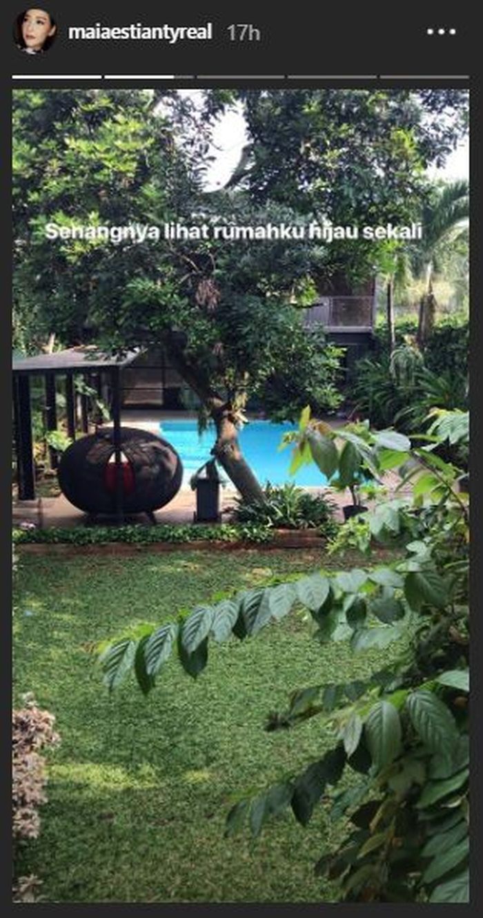 Penampakan belakang rumah Maia Estianty yang indah dan asri