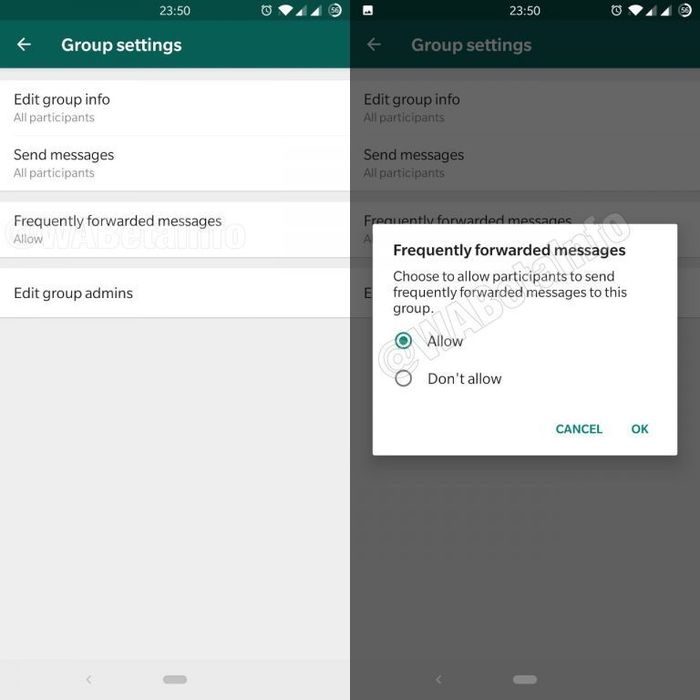 Ilustrasi fitur baru WhatsApp