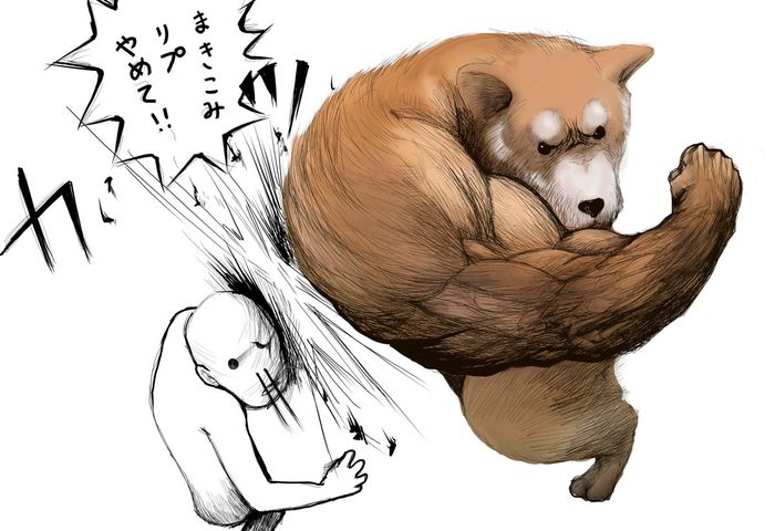 Foto Blur Anjing Ini Malah Viral Dan Jadi Meme Netizen Seakan