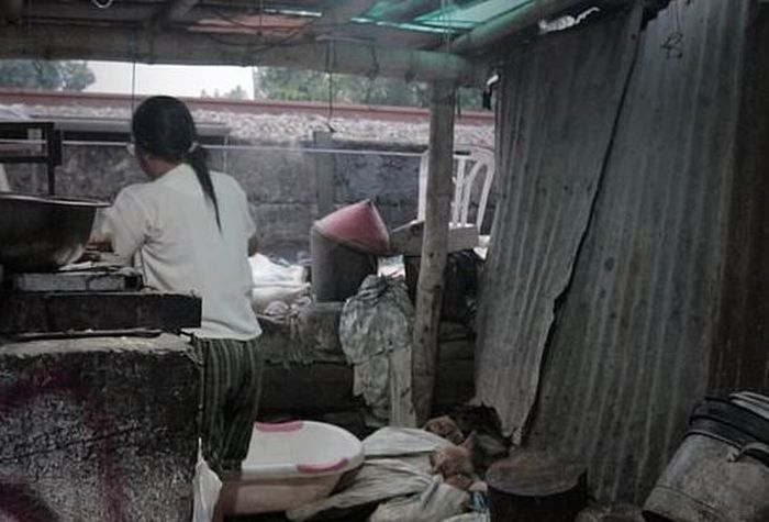 Rumah jagal di Solo.