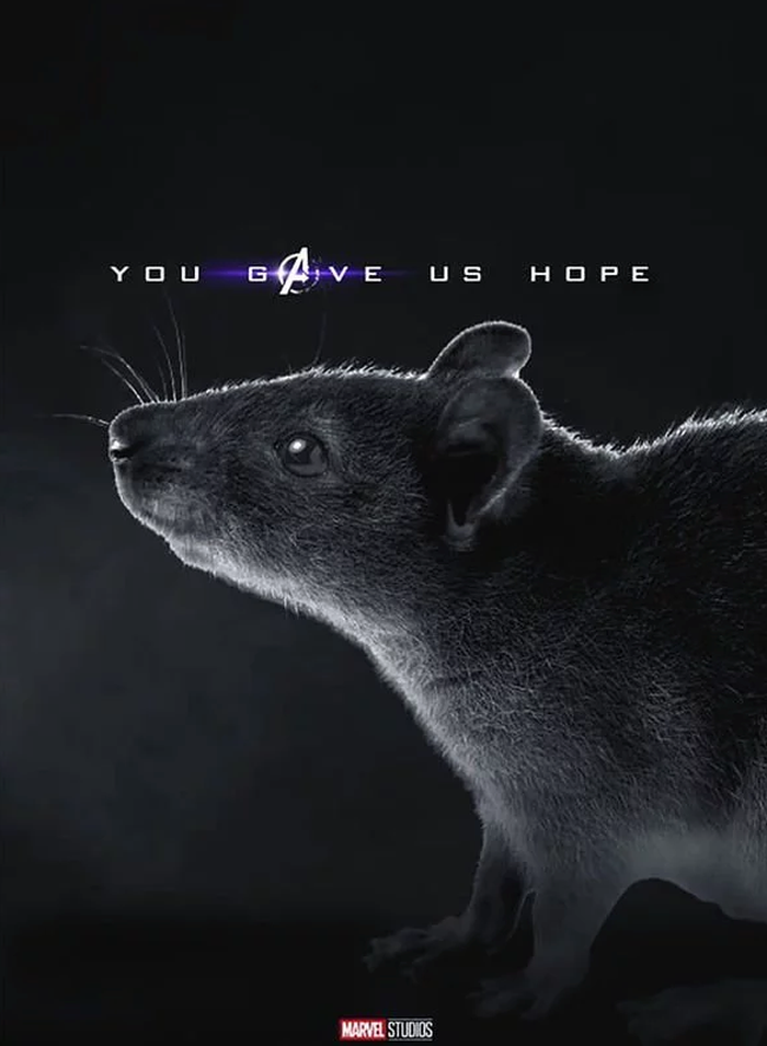 Teori Ini Sebut Penyelamat Dunia Di Avengers Endgame Adalah Seekor Tikus Hai