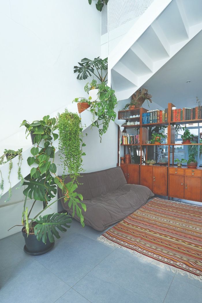 Rumah Burung di Lahan 96 M2