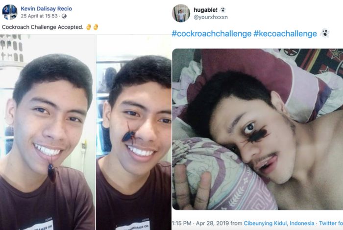 Deretan Remaja Ini Lakukan Tantangan Unik dengan Letakkan Kecoak di Wajah Mereka