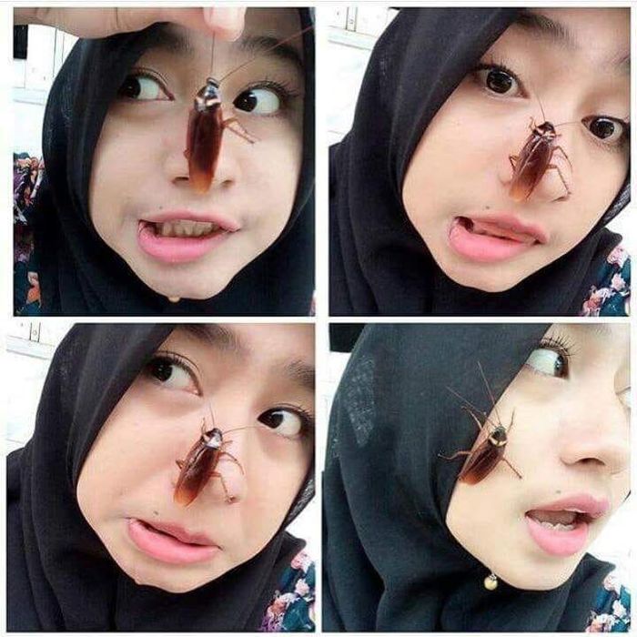 Deretan Remaja Ini Lakukan Tantangan Unik dengan Letakkan Kecoak di Wajah Mereka.