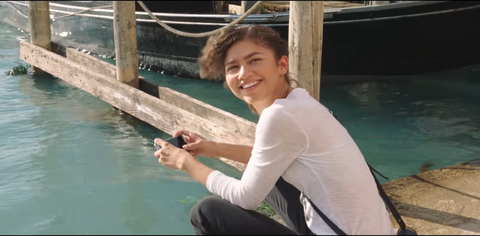Michelle Jones (Zendaya)
