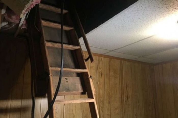 Sebuah penemuan  jasad 11 bayi yang meninggal di langit-langit rumah pemakaman yang ditutup menggemparkan warga Detroit.