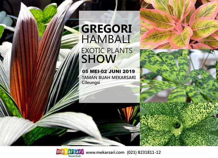 Liburan Ramadhan Di Mekarsari Dengan Kunjungi Pameran