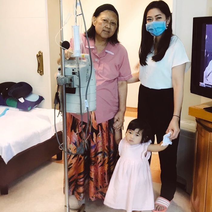 Ani Yudhoyono sempat dihalangi kaca dan pintu saat bertemu sang cucu...