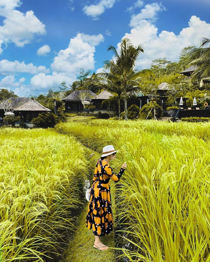 Syahrini terlihat anggun mengenakan long dress bernuansa warna kuning dan hitam saat foto cantik di tengah sawah