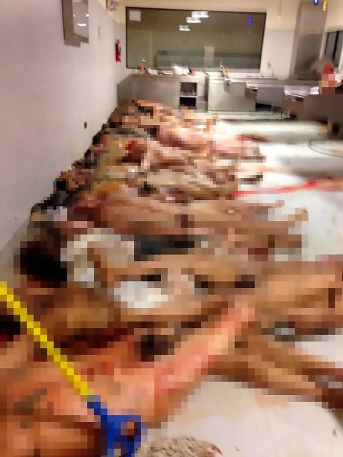 Foto-foto mayat berserakan di lantai.