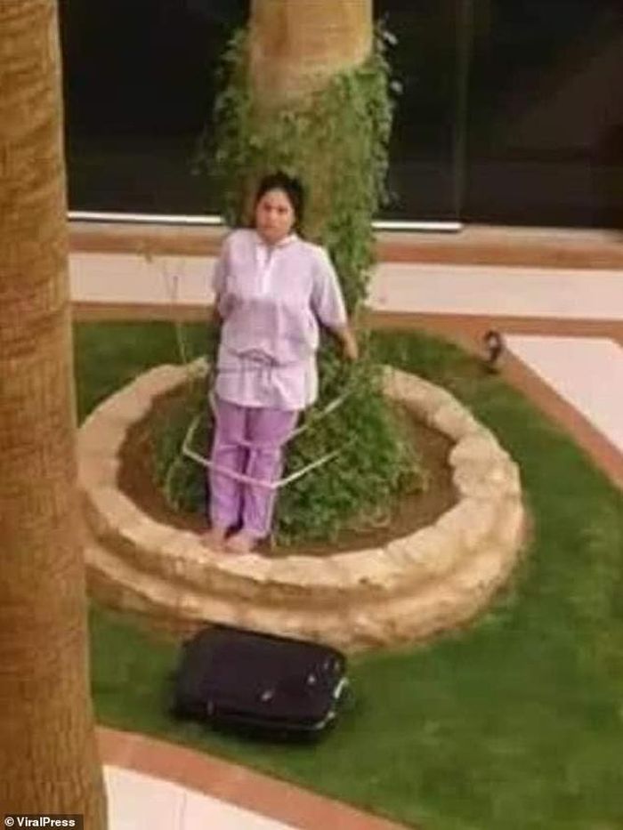 ART asal Filipina diikat di pohon.