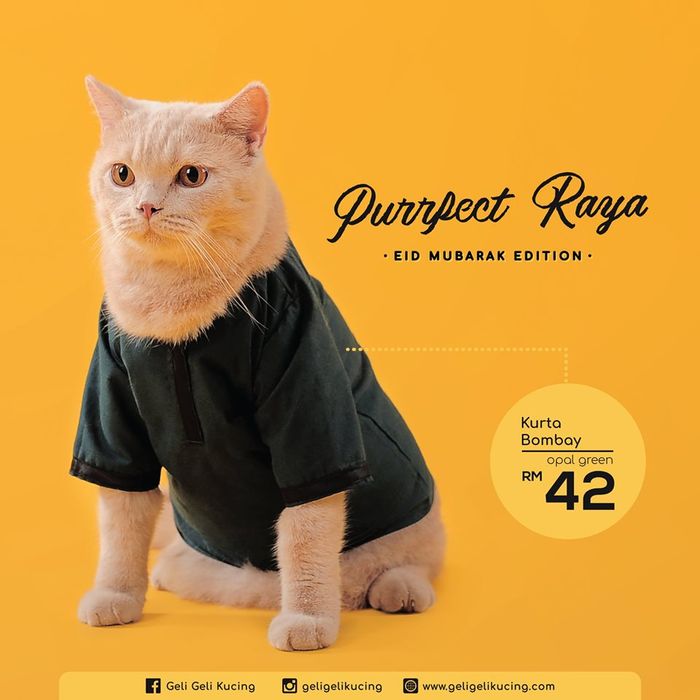 Baju Ramadan untuk Kucing