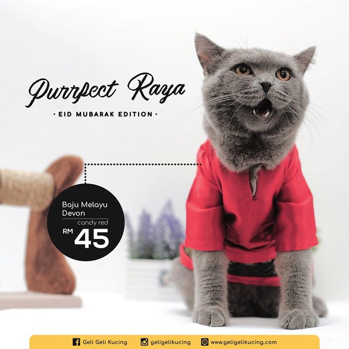 Baju Ramadan untuk Kucing