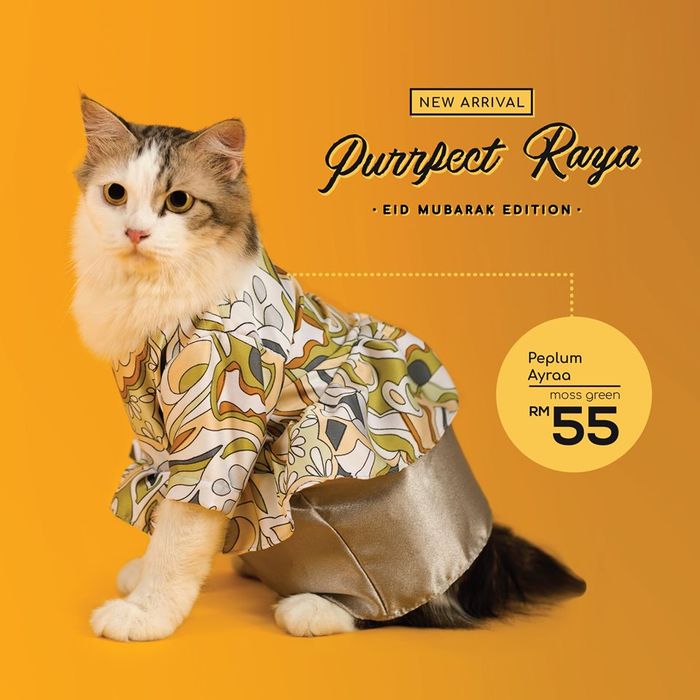 Toko Ini Sediakan Baju Hari Raya Khusus untuk Kucing Kesayangan