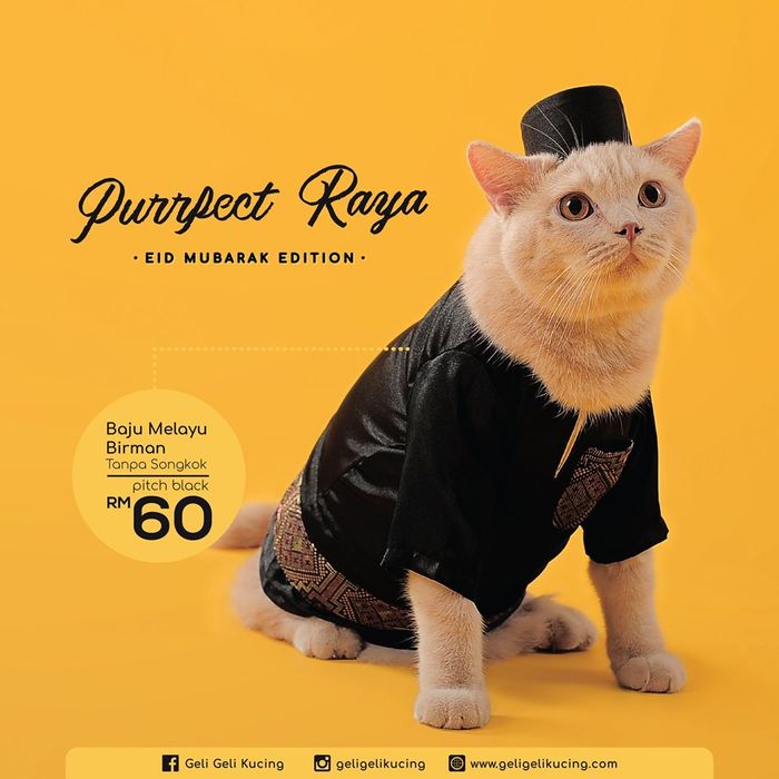 Toko Ini Sediakan Baju Hari Raya Khusus untuk Kucing Kesayangan