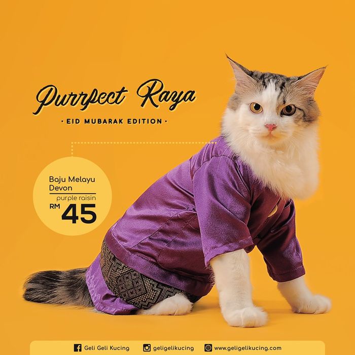 Toko Ini Sediakan Baju Hari Raya Khusus untuk Kucing Kesayangan