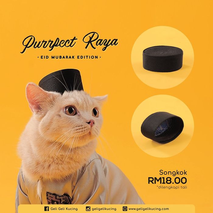 Baju Ramadan untuk Kucing