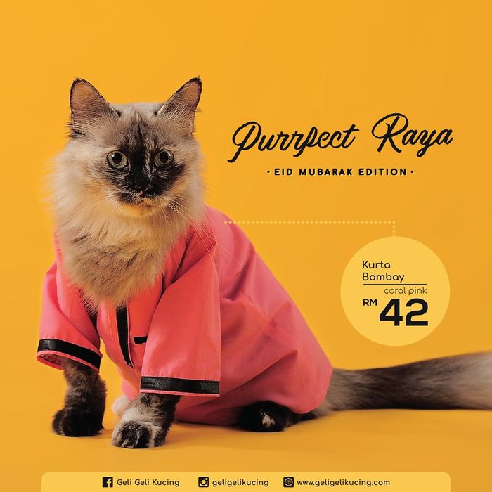 Baju Ramadan untuk Kucing