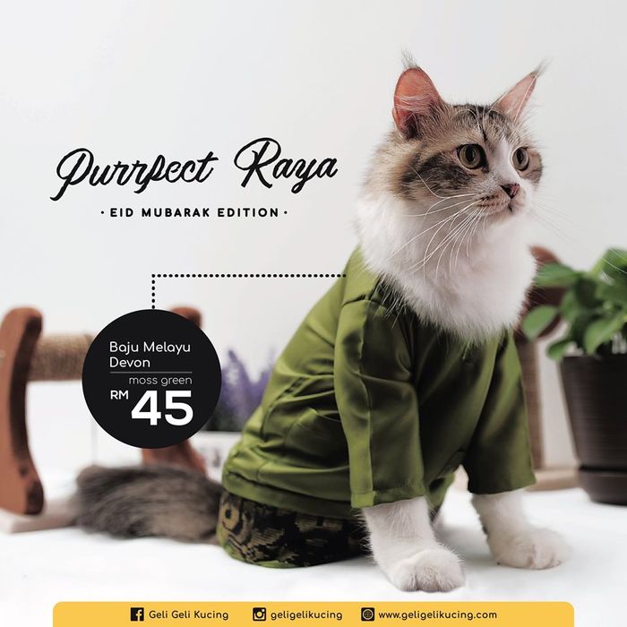 Baju Ramadan untuk Kucing