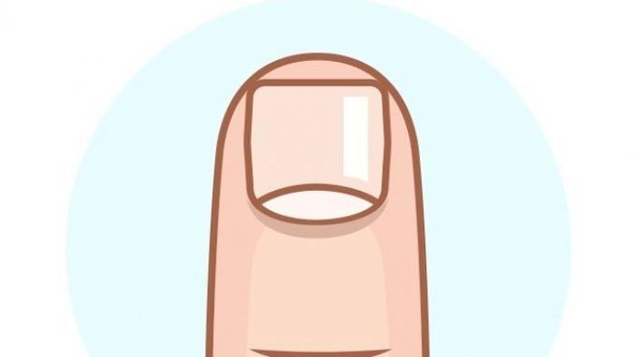 Cari Tahu Karakter Seseorang Berdasarkan Bentuk Kukunya Mulai Si Mandiri Hingga Tukang Cemburu Cari Tahu Karakter Seseorang Berdasarkan Bentuk Kukunya Mulai Si Mandiri Hingga Tukang Cemburu