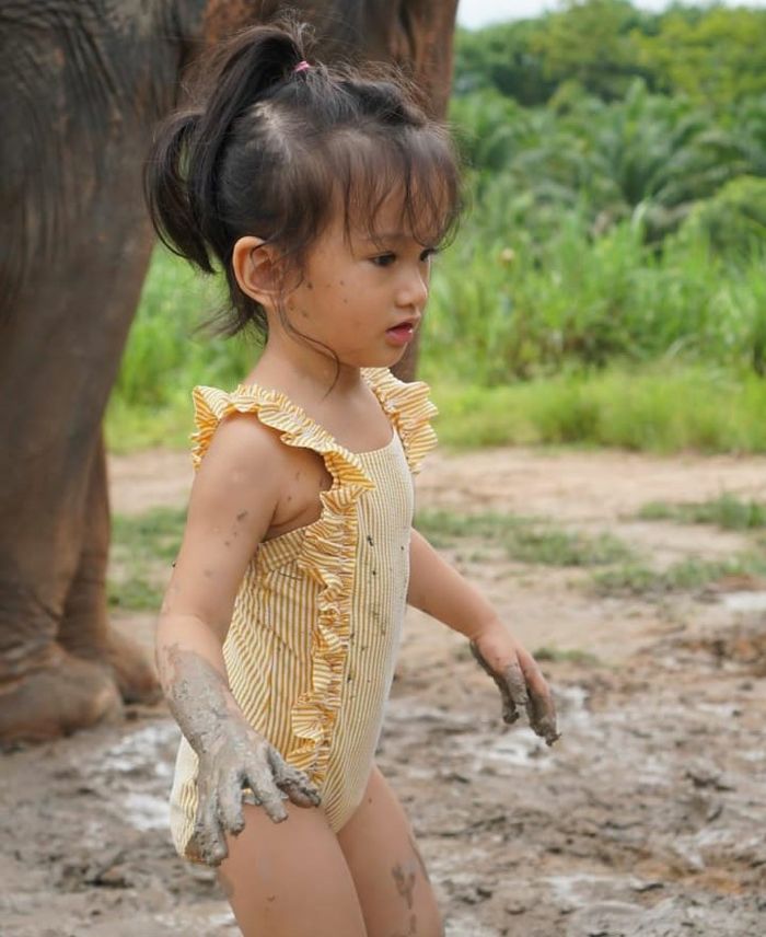 Sal memandikan gajah 