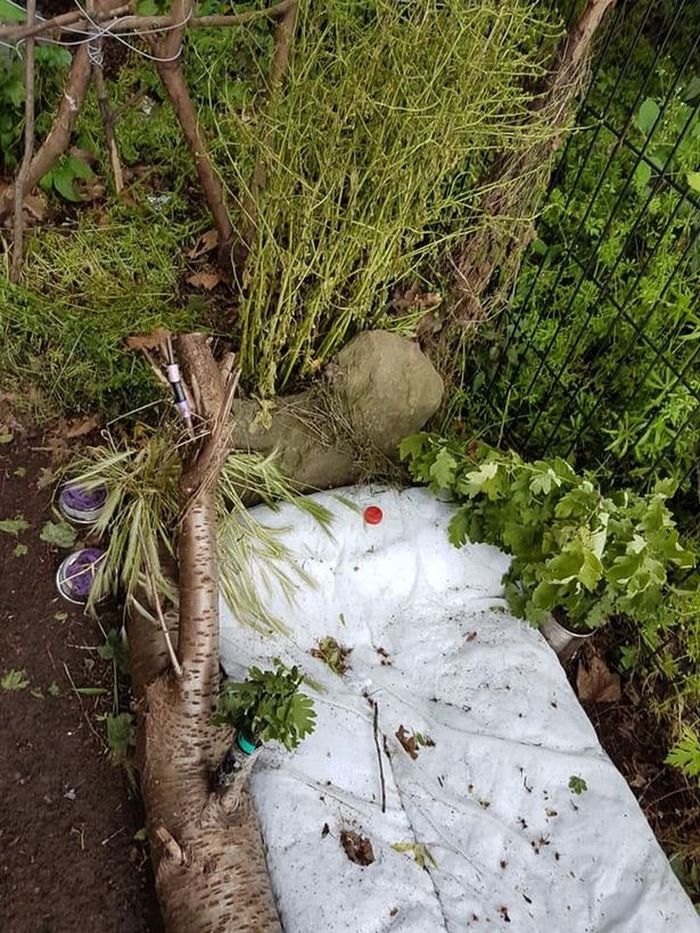 Model Gerbang Sekolah Mewah Pagar Rumah Model Gerbang Sekolah Mewah Pagar Rumah