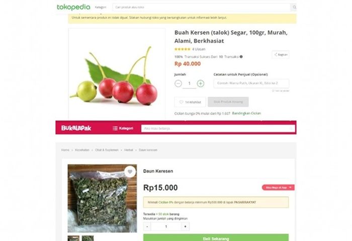 Harga buah kersen