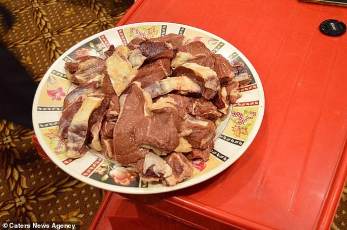 Seperti inilah makanan Babbar setiap harinya.