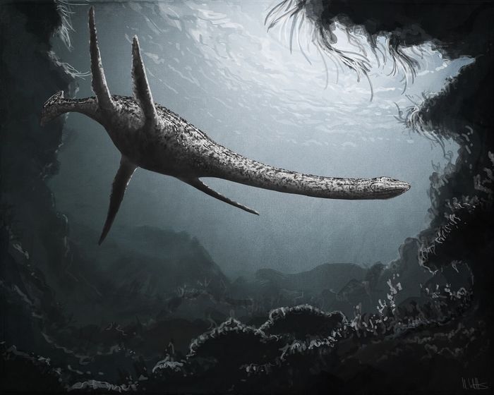 Ilustrasi monster 